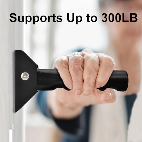 Doorway Flip Assist Handle