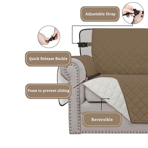 Reversible Couch Cover