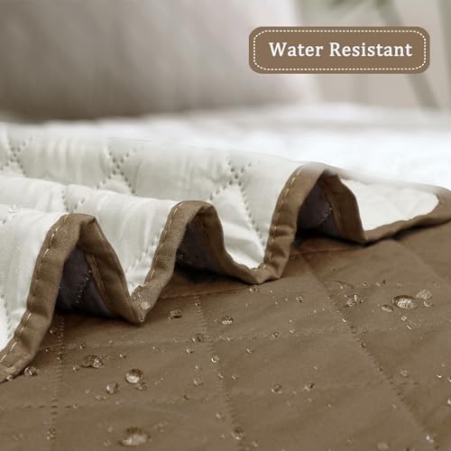Reversible Couch Cover