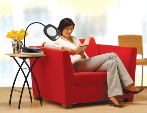 Company LED Floor Lamp and Table Lamp