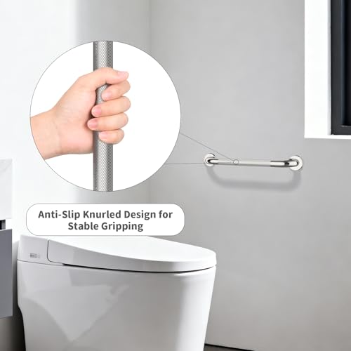 Chrome Grab Bar 20 Inch