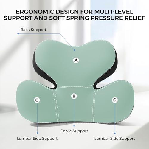 Ergonomic Memory Foam Lumbar Support Pillow for Car