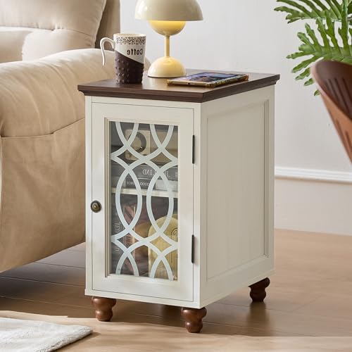 Narrow Side Table Set 2 with Glass Door Storage (2 Count)
