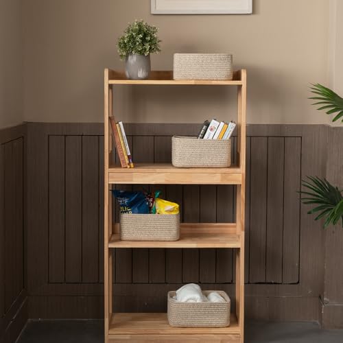 4 Pack Small Storage Shelf Baskets for Organizing (4 Count)