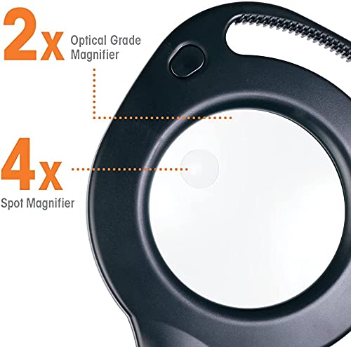 2 in 1 LED Magnifier and Table Light