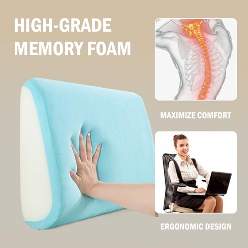 Lumbar Support Pillow for Recliner Chair
