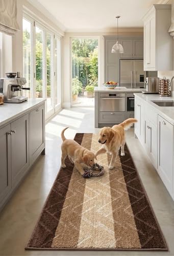 Hallway Runner Rug (23.24997 Sq ft)