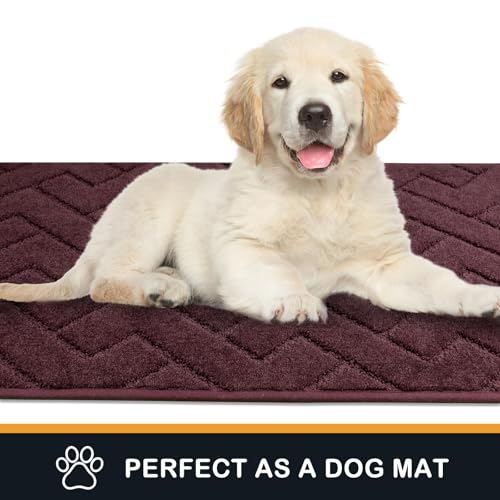 Dirt Trapping Door Mat Indoor Entrance