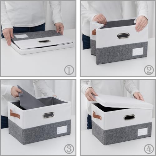 Foldable Storage Bins with Lids [3 (3 Count)