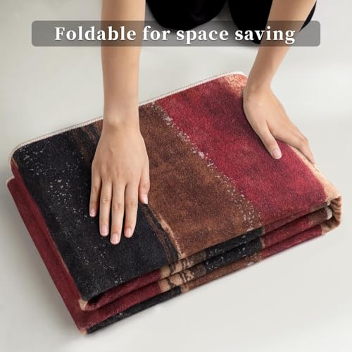 Washable Area Rug 2x3 Entryway Rug