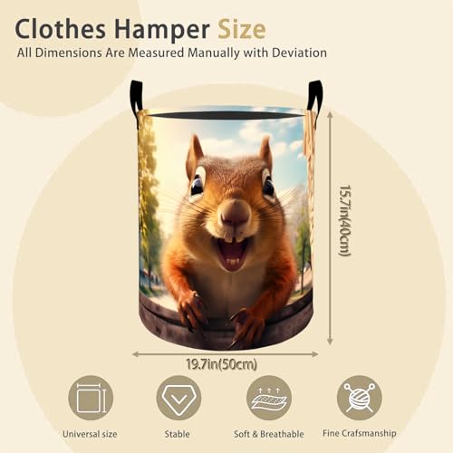 Funny Squirrel Laundry Basket Hamper for Boys Girls Kids Adults