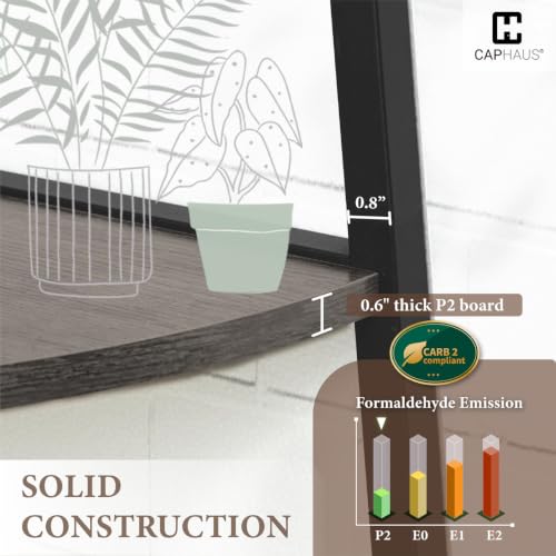 5 Tier Corner Shelf Stand