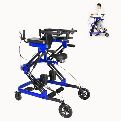 Rehabilitation Walker with Stand