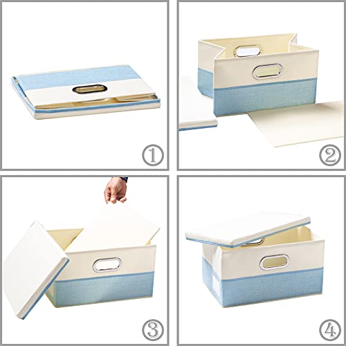 Collapsible Storage Bin with Lid [3 (3 Count)