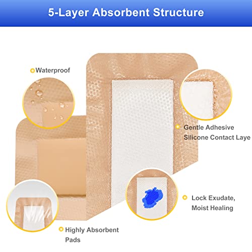 Silicone Foam Dressing 4"x8" (10 Count)