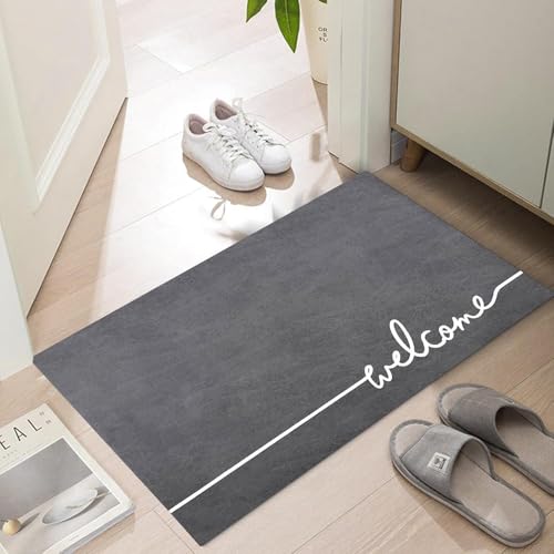 Ultra Thin Indoor Door Mat (5.8333 Sq Ft)