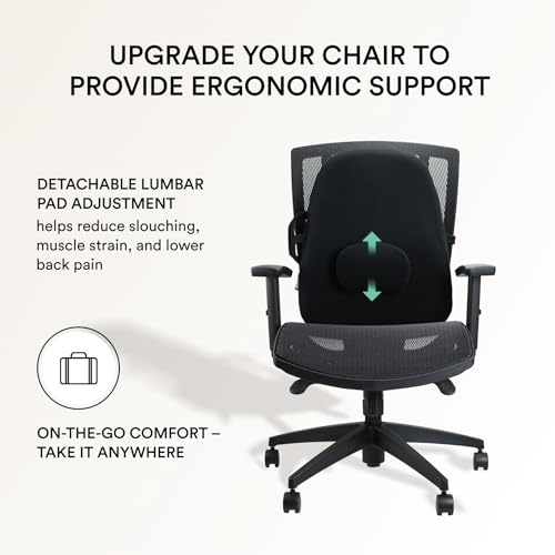 Lowback Backrest Support
