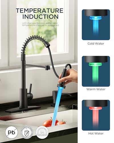 Black Kitchen Faucet with LED Light Sprayer