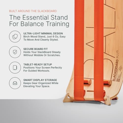 SlackBoard GiBoard Balance Board Kids & Adults