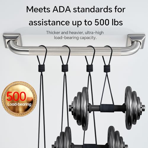 500lb Capacity Stainless Steel Grab Bar
