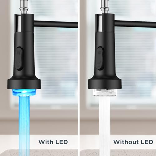 Black Kitchen Faucet with LED Light Sprayer