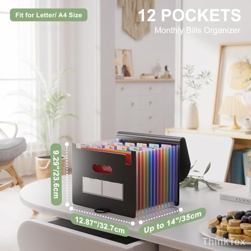 10 Pack Accordion File Folders (10 Count)