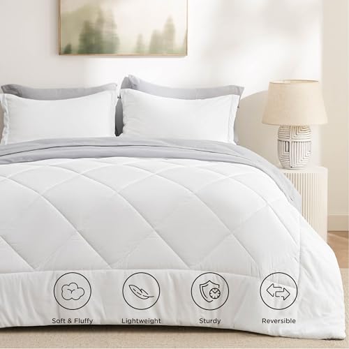 Queen Comforter Set