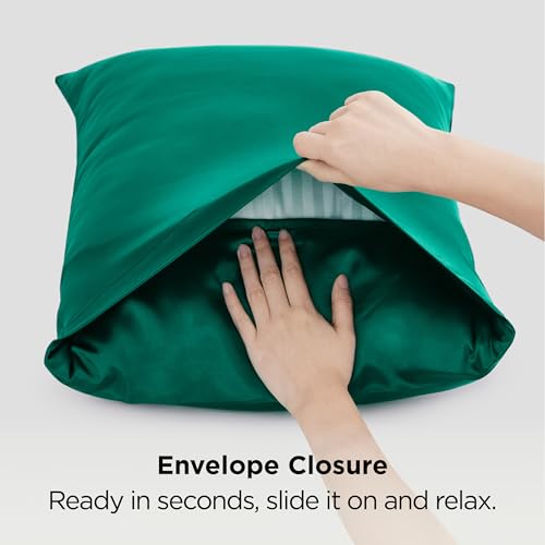 Satin Pillowcases Standard Set of 2 (2 Count)
