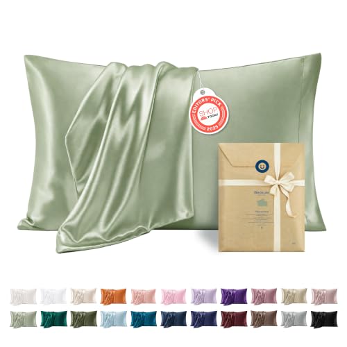 Satin Pillowcases Queen Set of 2 (2 Count)