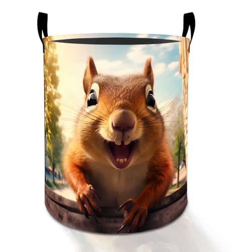 Funny Squirrel Laundry Basket Hamper for Boys Girls Kids Adults