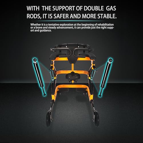 Rehabilitation Walker with Stand