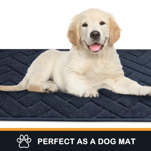 Dirt Trapping Door Mat Indoor Entrance