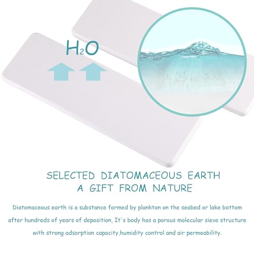 2Pcs Stone Soap Trays Water Absorbing Diatomite Coaster (2 Count)