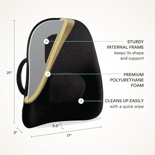 Lowback Backrest Support