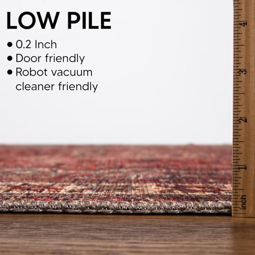 Vintage Washable Area Rug