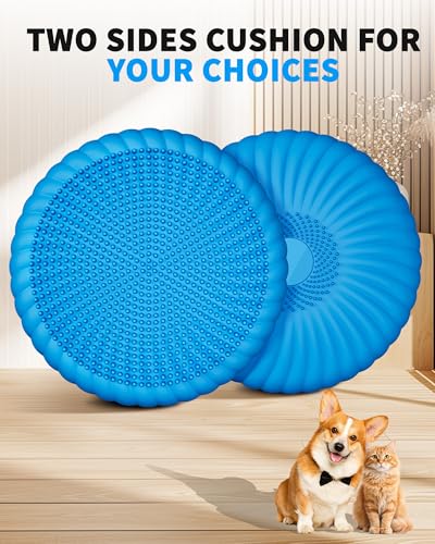 Wobble Cushion with Inflation Pump