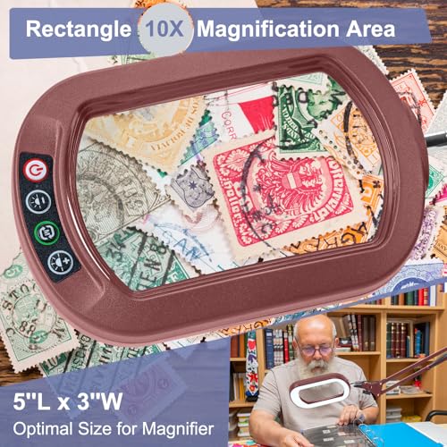 14.35" Large Magnifying Glass with Light and Clamp