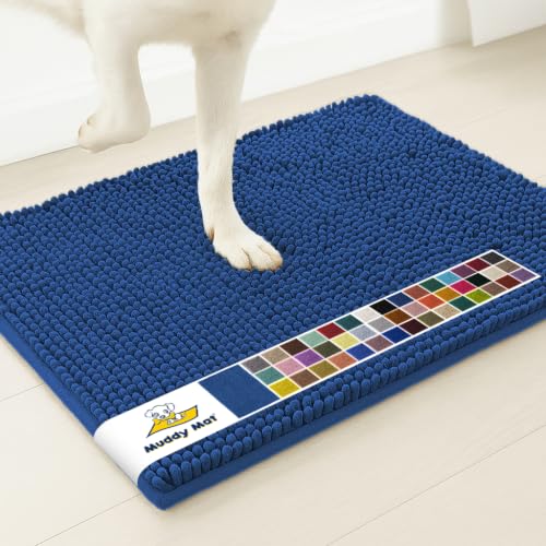 Super Water Absorbent Door Mat Indoor