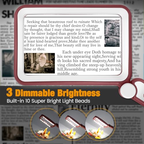 Rechargeable Magnifying Glass with Light for Reading