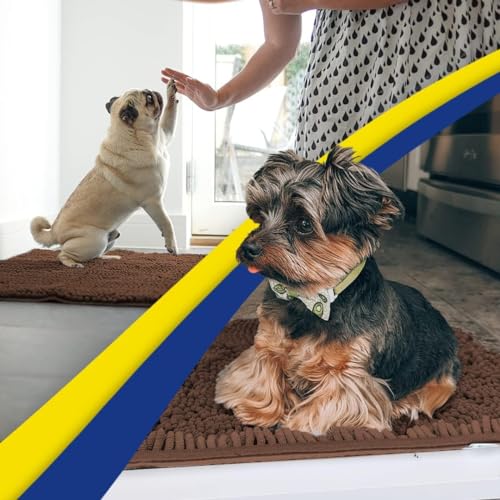 Super Water Absorbent Door Mat Indoor