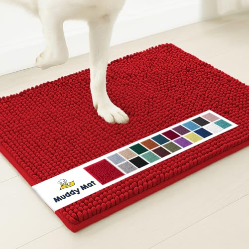 Super Water Absorbent Door Mat Indoor