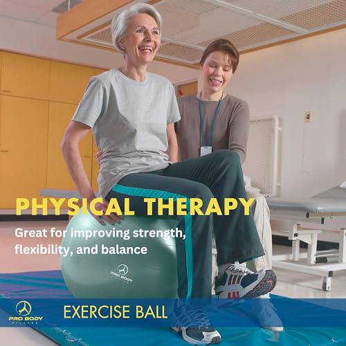 Yoga Ball Vibrant Colors Exercise Ball