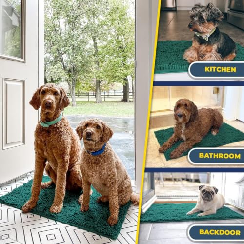Super Water Absorbent Door Mat Indoor (20 Sq Ft)