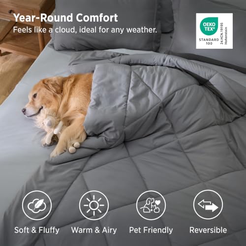 Queen Bed in a Bag Reversible Two