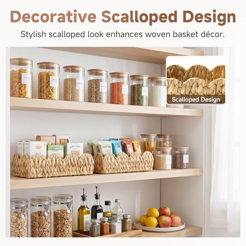 Small Scalloped Baskets for Decor
