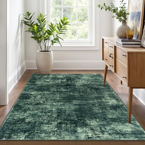 Abstract Area Rug 4x6 Ft Washable Rugs for Entryway Indoor