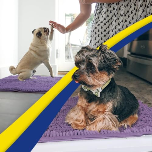 Super Water Absorbent Door Mat Indoor (10 Sq Ft)