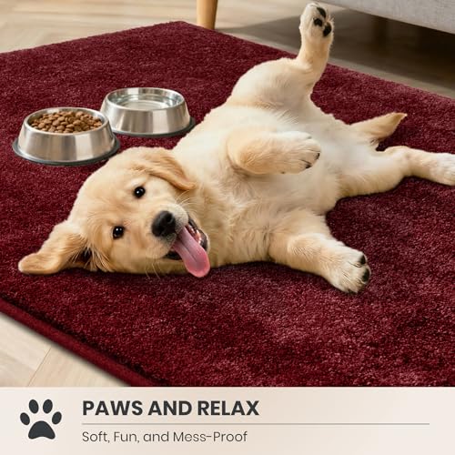 Area Rug 72" x 108" (54 Sq Ft)