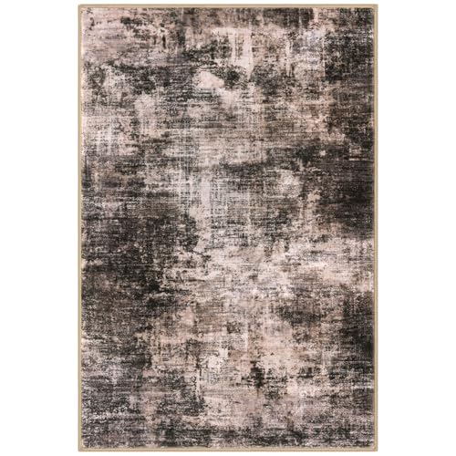 Abstract Area Rugs 5x7 Ft Washable Rugs for Living Room (35 Sq Ft)
