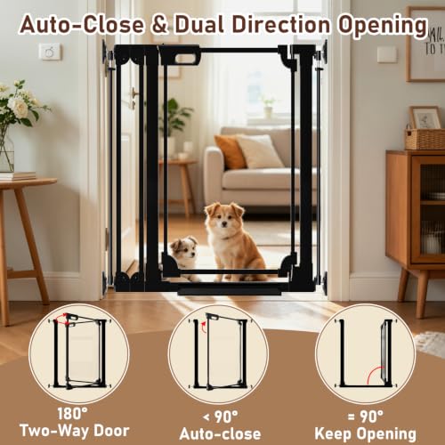 40" Extra Tall Clear Acrylic Dog Gate 57.87